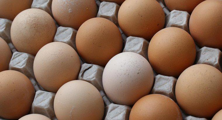 Jaka jest wartość odżywcza jajka?