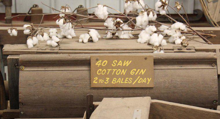 Co zrobił Cotton Gin?