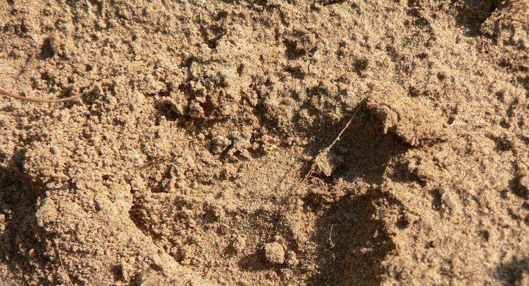 Co to jest gleba piaszczysta?