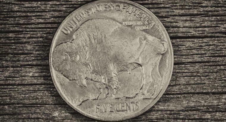 Gdzie można znaleźć wartość niklu z roku 2005 Buffalo?