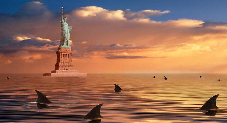 Które ukąszenia Więcej osób: Rekiny czy nowojorczycy?