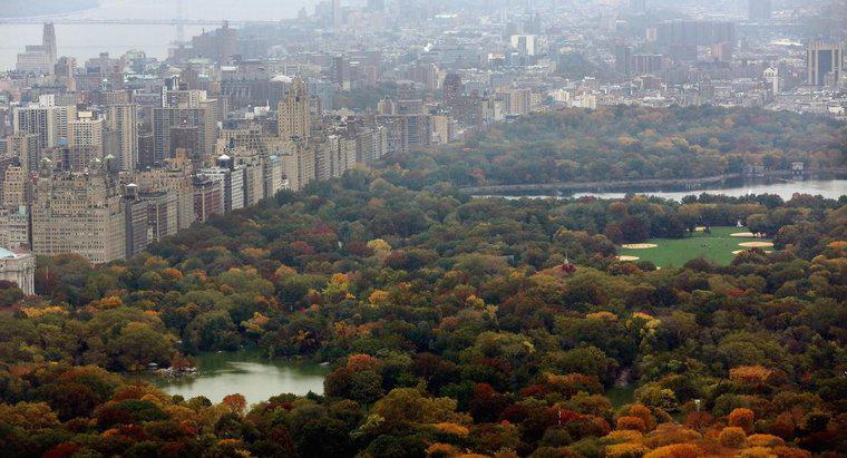 Jaka jest wielkość Central Parku w Nowym Jorku?