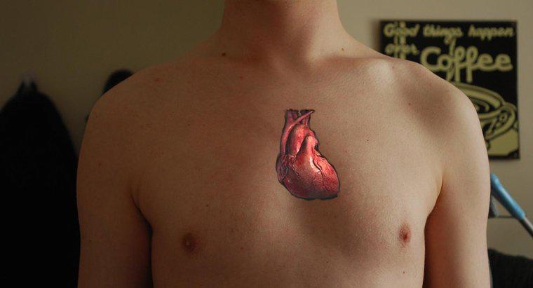 Dlaczego serce uważa się za podwójną pompę?