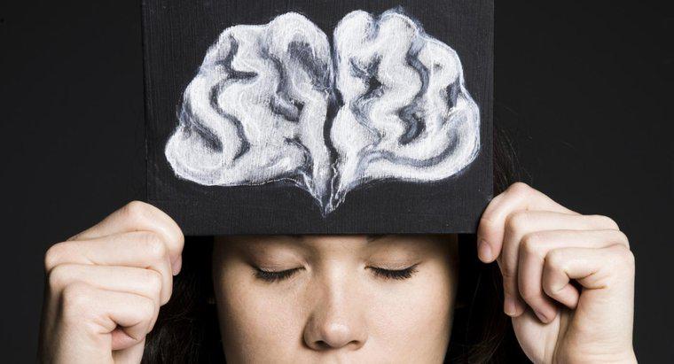 Jaka jest funkcja płata czołowego mózgu?