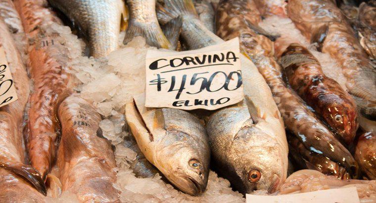 Jak gotować Corvina Fish?