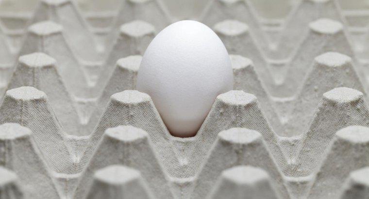 Co powoduje zgniły zapach jaja w domu?