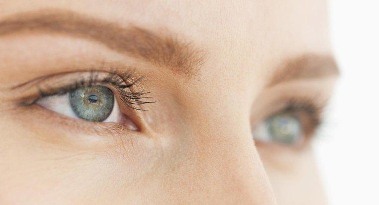 Jakie są główne funkcje oka?