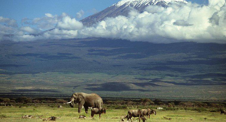 Jak powstał Kilimandżaro?