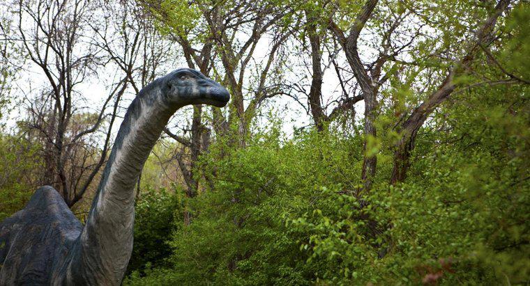 Dlaczego imię Brontozaura zmieniło się na Apatosaurus?