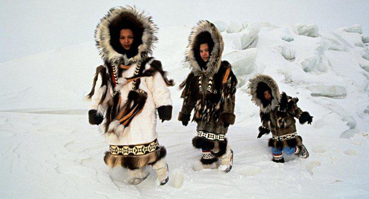 Z czego wykonane są ubrania Eskimo?