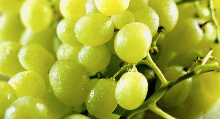 Czy winogrona są kwaśne?