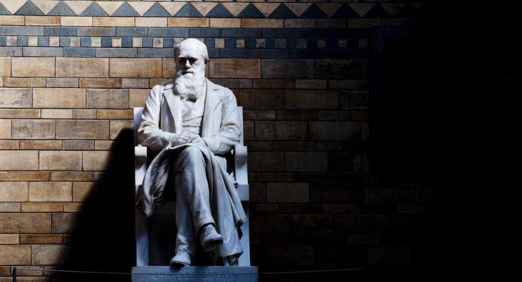 Co to jest słynny Charles Darwin?