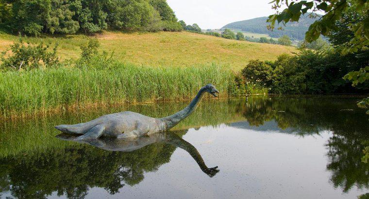 Gdzie działa Loch Ness Monster Live?