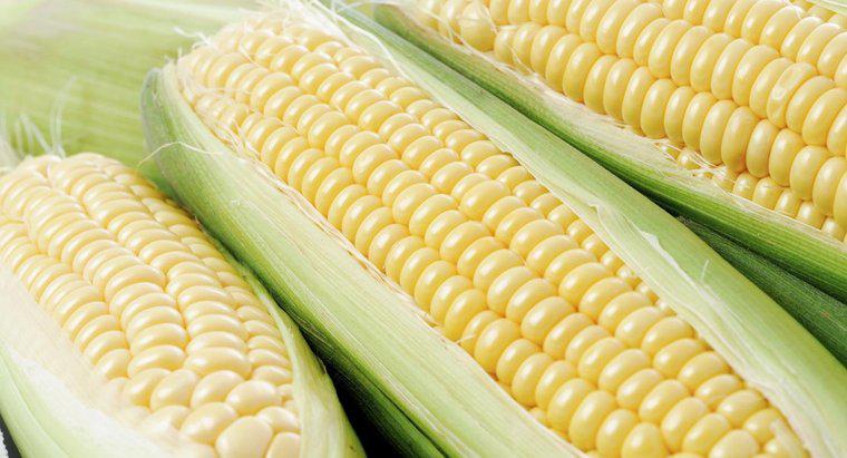 Czy kukurydza jest uważana za warzywo?