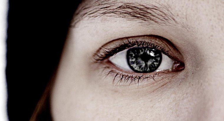 Czym jest tęczówka oka?