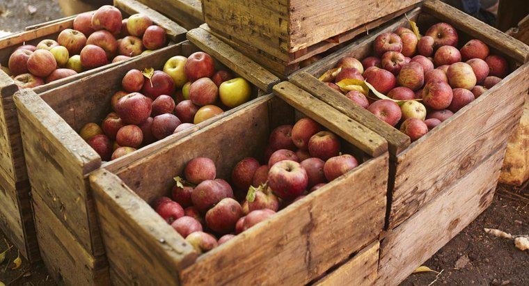 Ile kilogramów jest w kawałku jabłek?