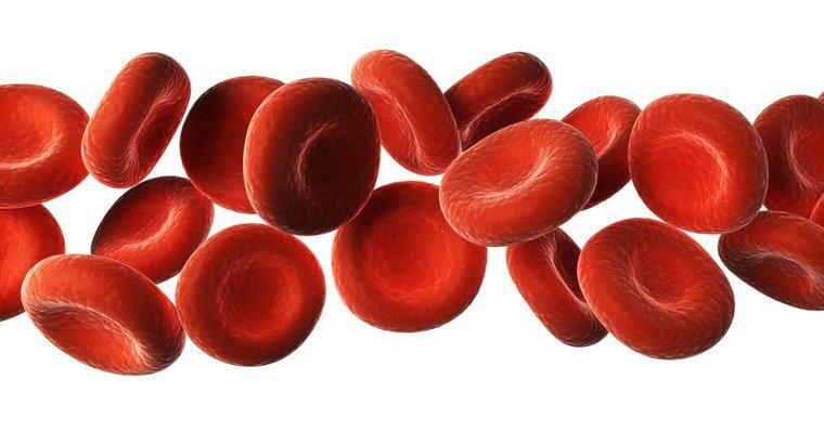 Jakie są sześć substancji transportowanych przez krew?