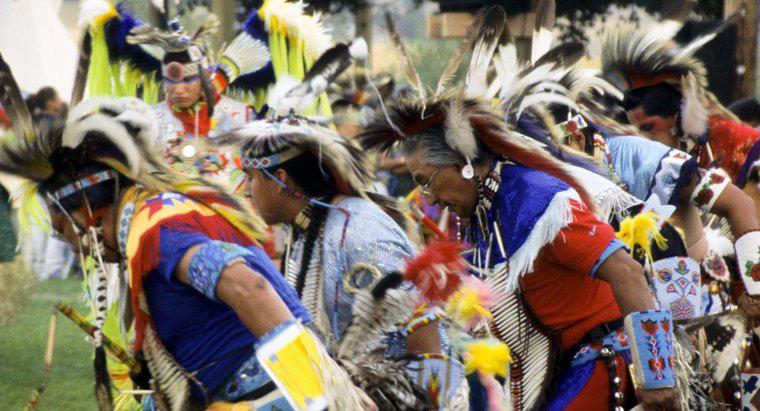 Jakie są cele ruchu Indian amerykańskich?