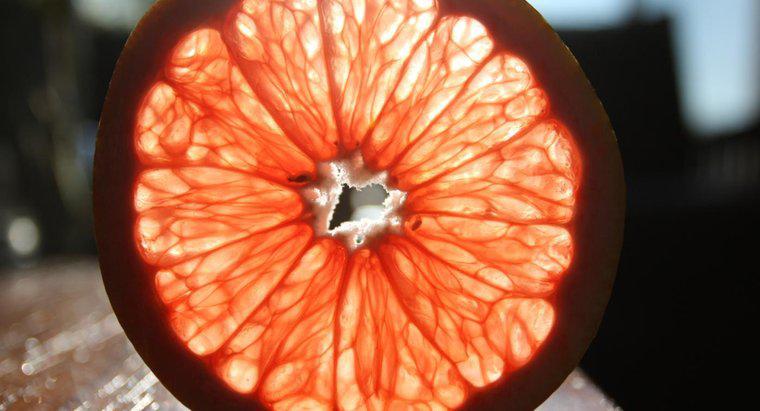 Czy owoce mogą wytwarzać energię elektryczną?