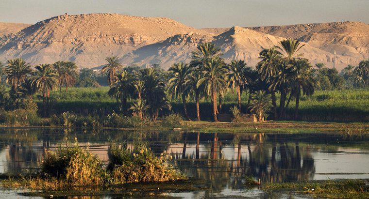 Gdzie żyli większość starożytnych Egipcjan?