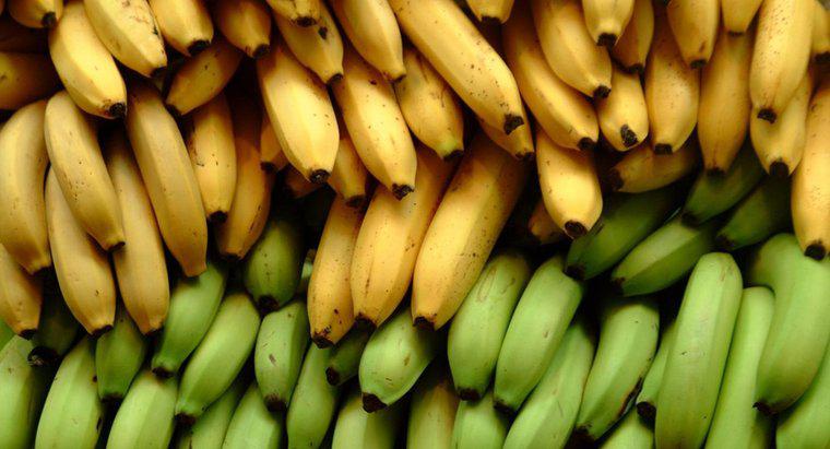 Czy banany są dobre dla diabetyków?