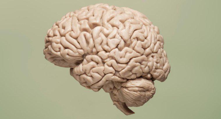 Co powoduje brak tlenu w mózgu?