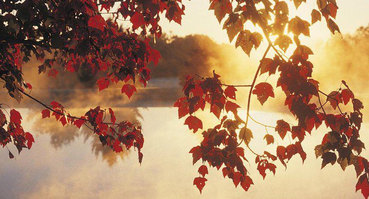 Jakie miesiące w Ameryce Północnej są uważane za jesień?