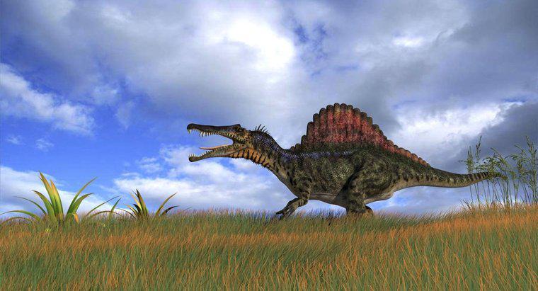 Jaki był największy mięsożerny dinozaur?