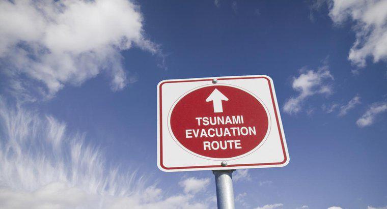 Jak przygotować się na tsunami?