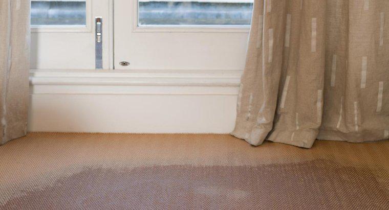 Jak usunąć zapach pleśni z dywanu?