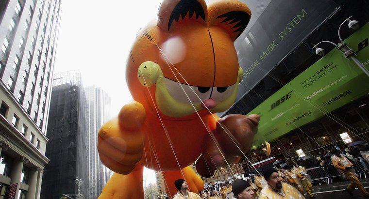 Który rasa kota to Garfield?