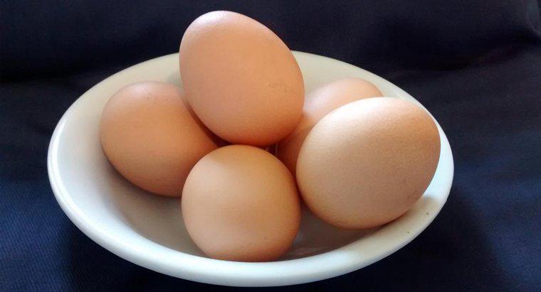 Jak duża siła oddziaływania może wytrzymać jajko?