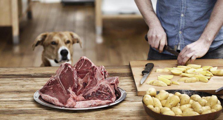 Czy psy mogą jeść kości stek?