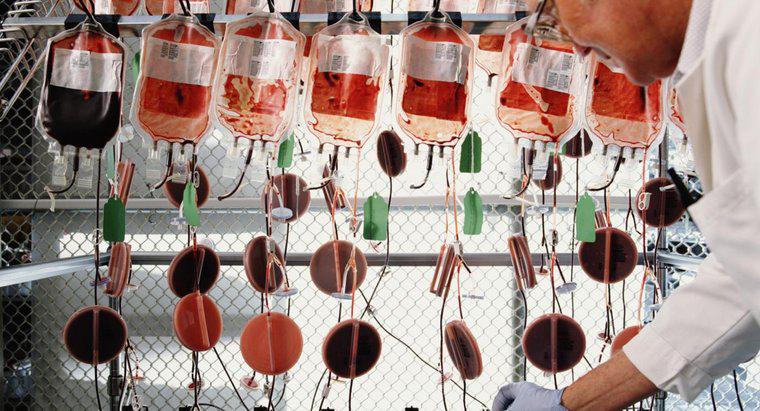 W jaki sposób utleniona krew staje się odtleniona?