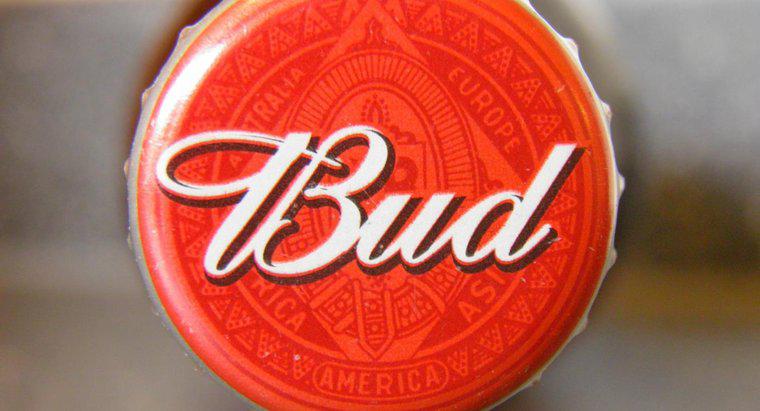 Ile alkoholu znajduje się w piwie Budweiser?