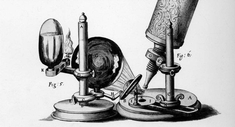 Jaki był wkład Roberta Hooke'a?