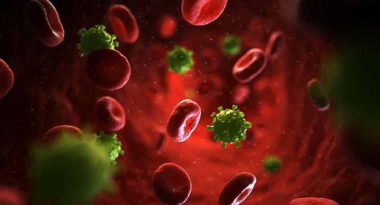 Co to jest wysypka Maculopapular HIV?