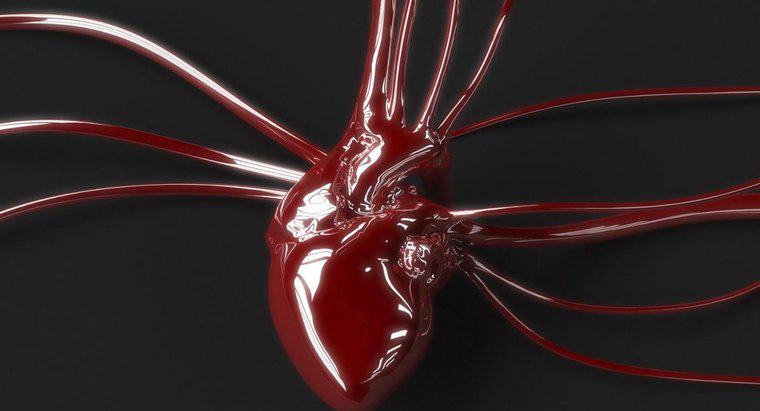 Jaka jest różnica między krwią tętniczą a żylną?