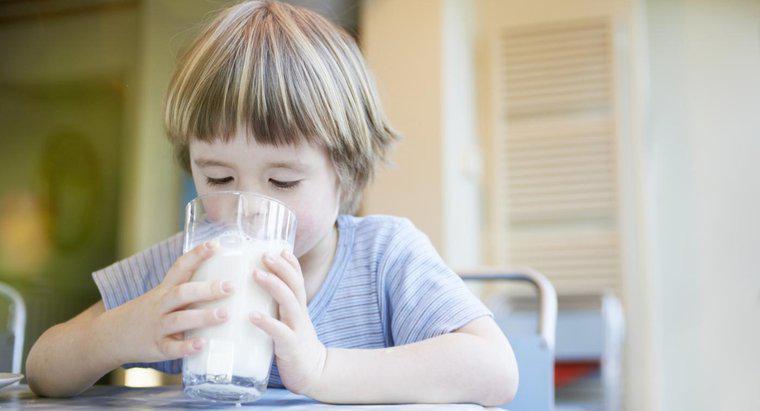 Czy możesz pić mleko podczas antybiotyków?