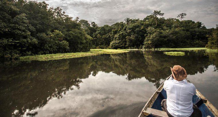 Jak głęboka jest Amazonka?