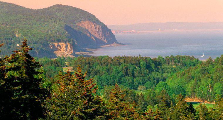 Gdzie jest Bay of Fundy National Park?