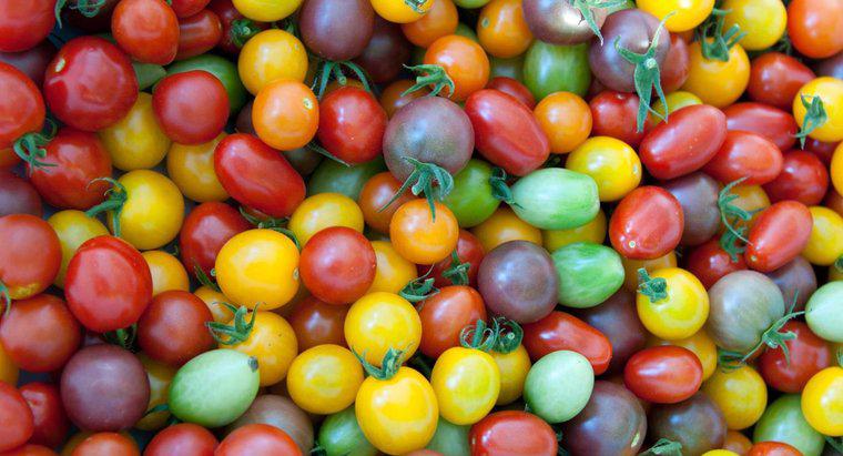 Czy pomidory zawierają kwas cytrynowy?