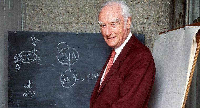 Czy Francis Crick użył LSD?
