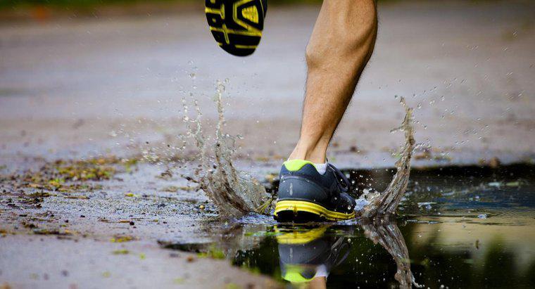 Jaka jest średnia prędkość joggingu człowieka?