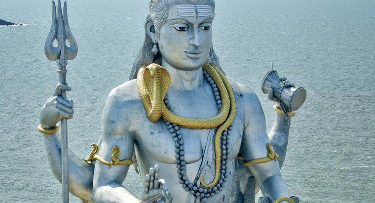 Dlaczego Shiva ma cztery ramiona?