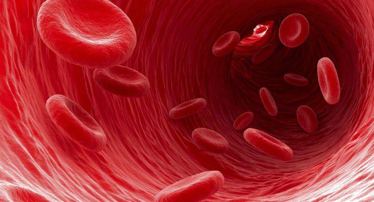 Co się stanie, jeśli masz za dużo czerwonych krwinek?