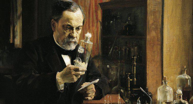 Czy Louis Pasteur miał jakichś braci lub siostry?