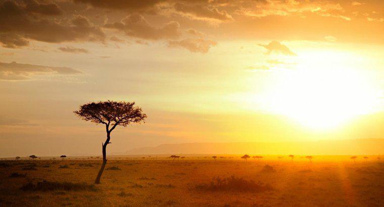 Jaki jest klimat w Afryce?