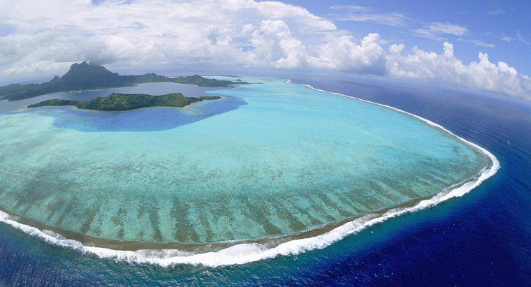 Jak nazywa się wyspa koralowa w kształcie pierścienia?