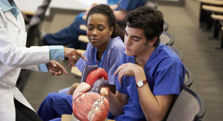 Jak zrobić model pracy serca?